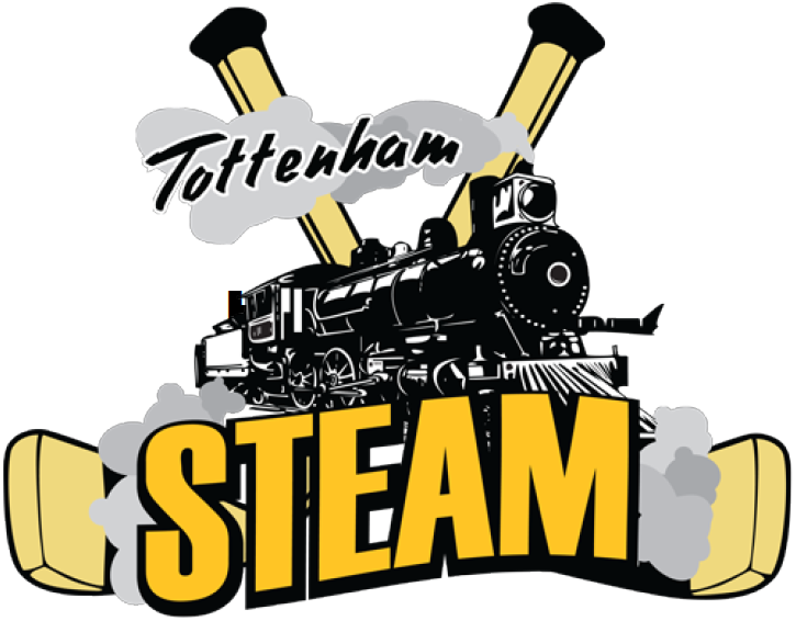 Tottenham Steam 2014-Pres Primary Logo iron on heat transfer